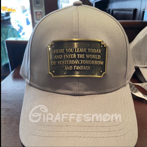 Disneyland Entrance Plaque Cap | Poshmark
